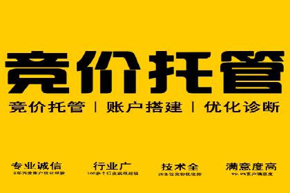 深入了解SEM代运营服务公司的策略与技巧